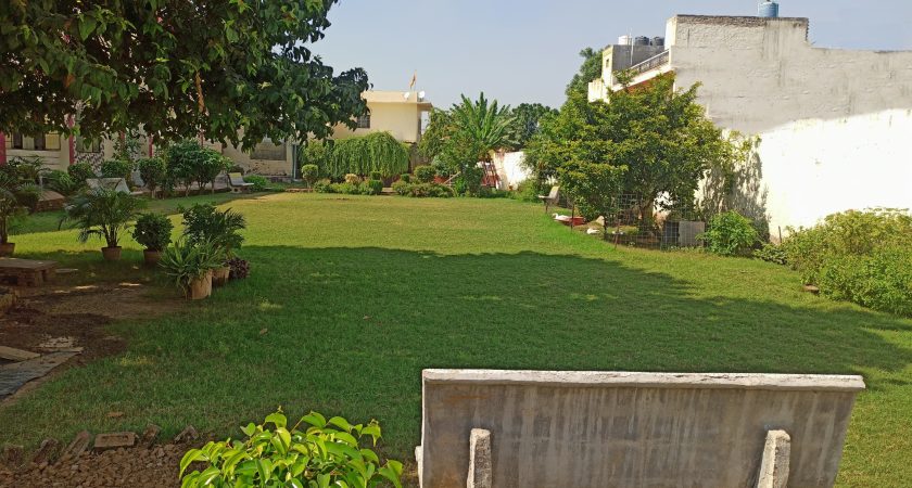 play ground1
